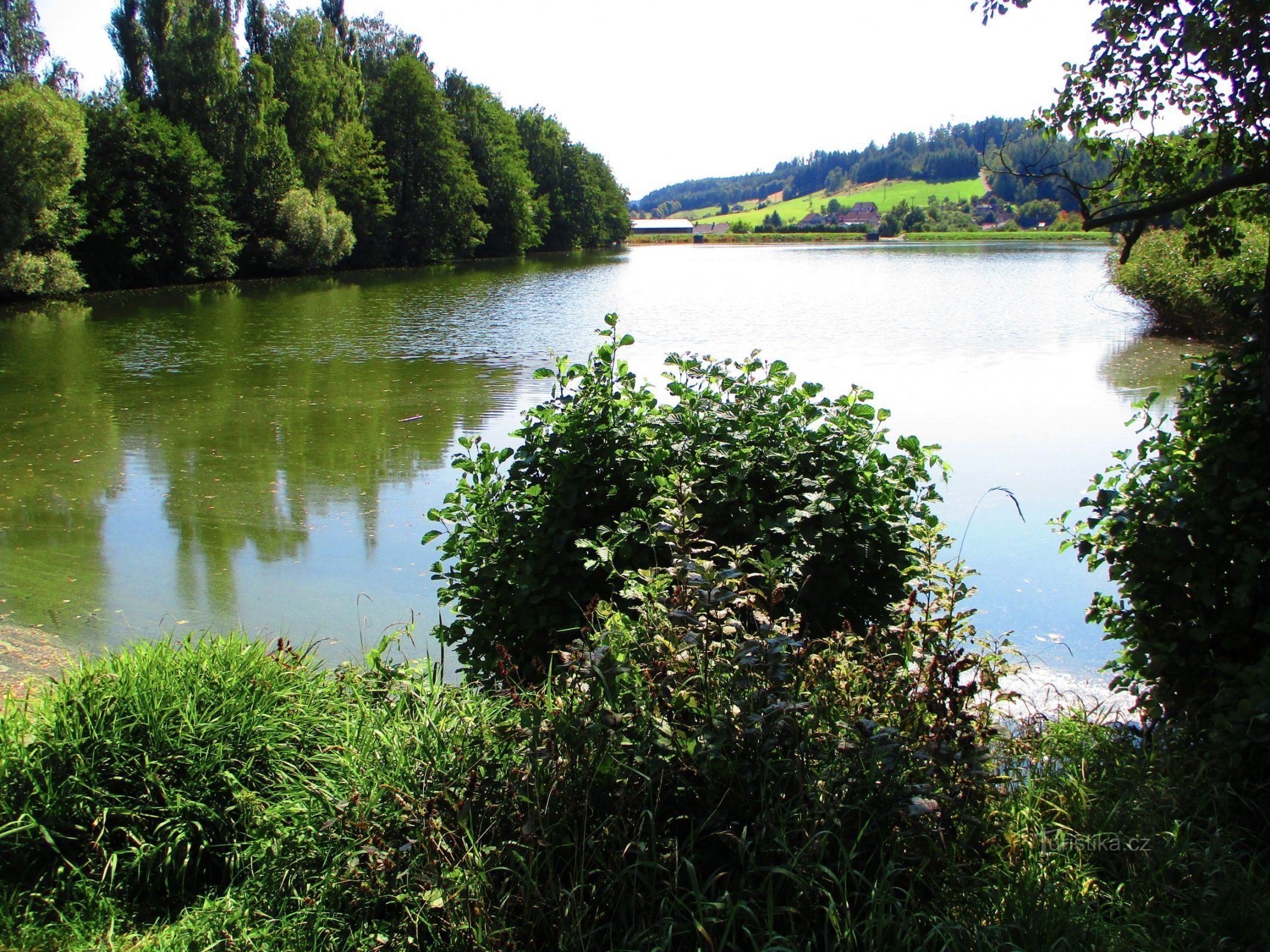 Podháj Pond (Velké Svatoňovice, 6.9.2021/XNUMX/XNUMX)