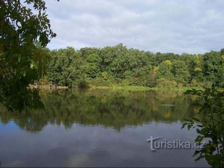 Rybník: Pohled na rybník z hráze