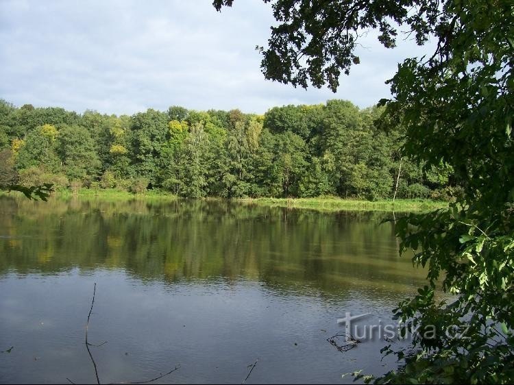 Teich: Blick auf den Teich von der Staumauer