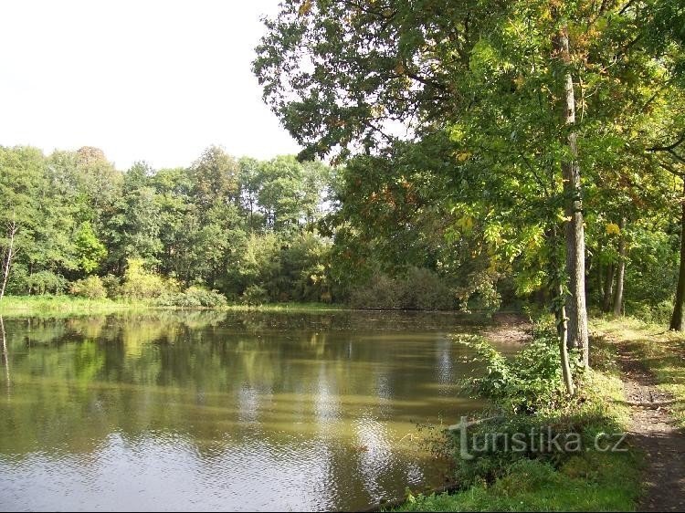 Teich: Blick auf den Teich von der Staumauer