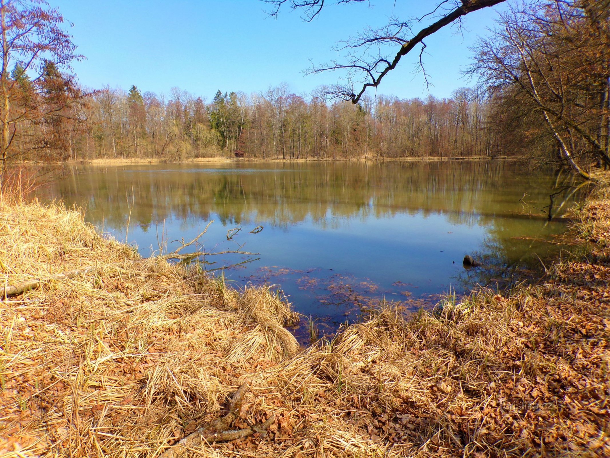 Lago do Povolír (Miletín, 25.3.2022/XNUMX/XNUMX)