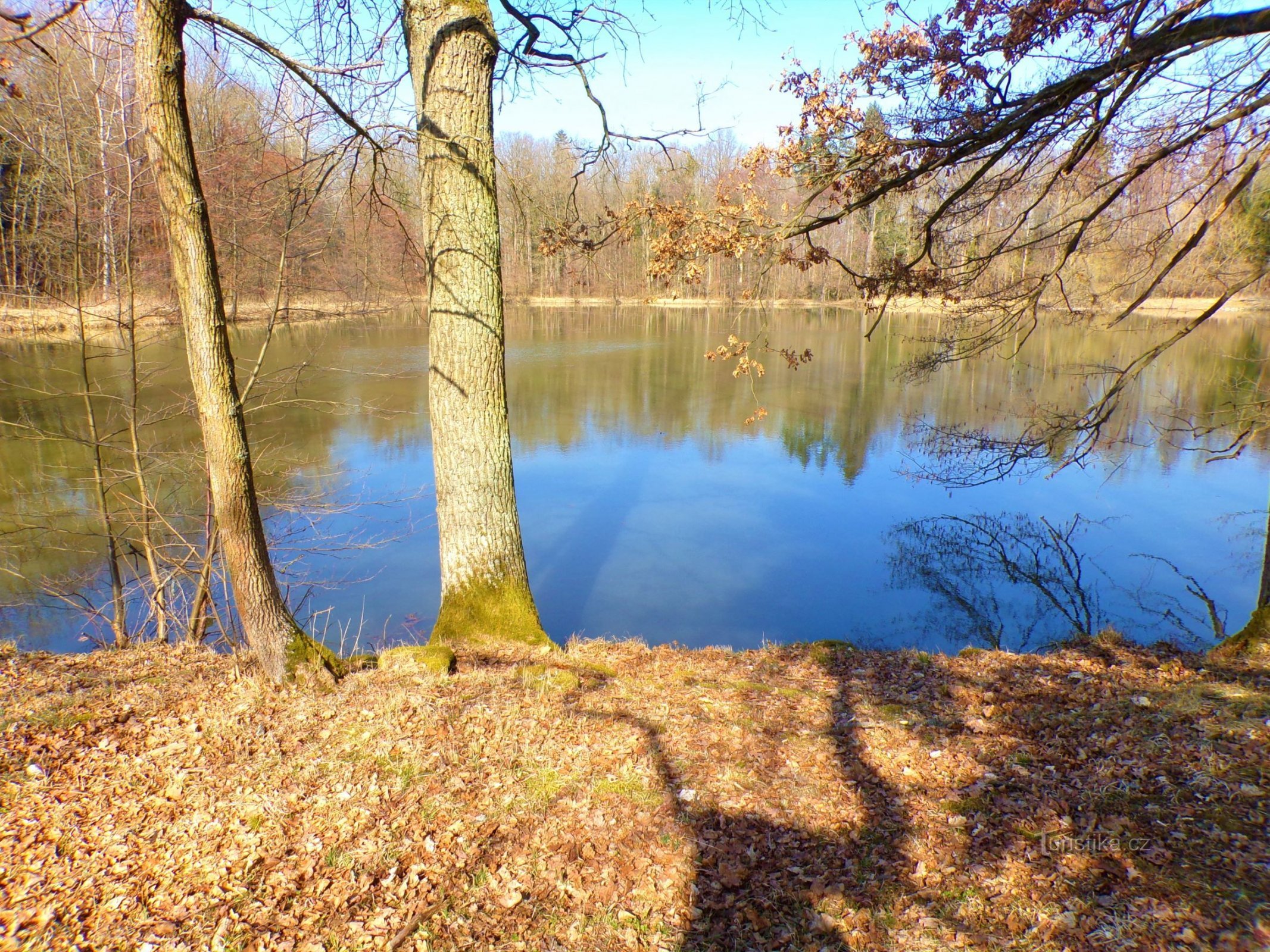 Lago do Povolír (Miletín, 25.3.2022/XNUMX/XNUMX)