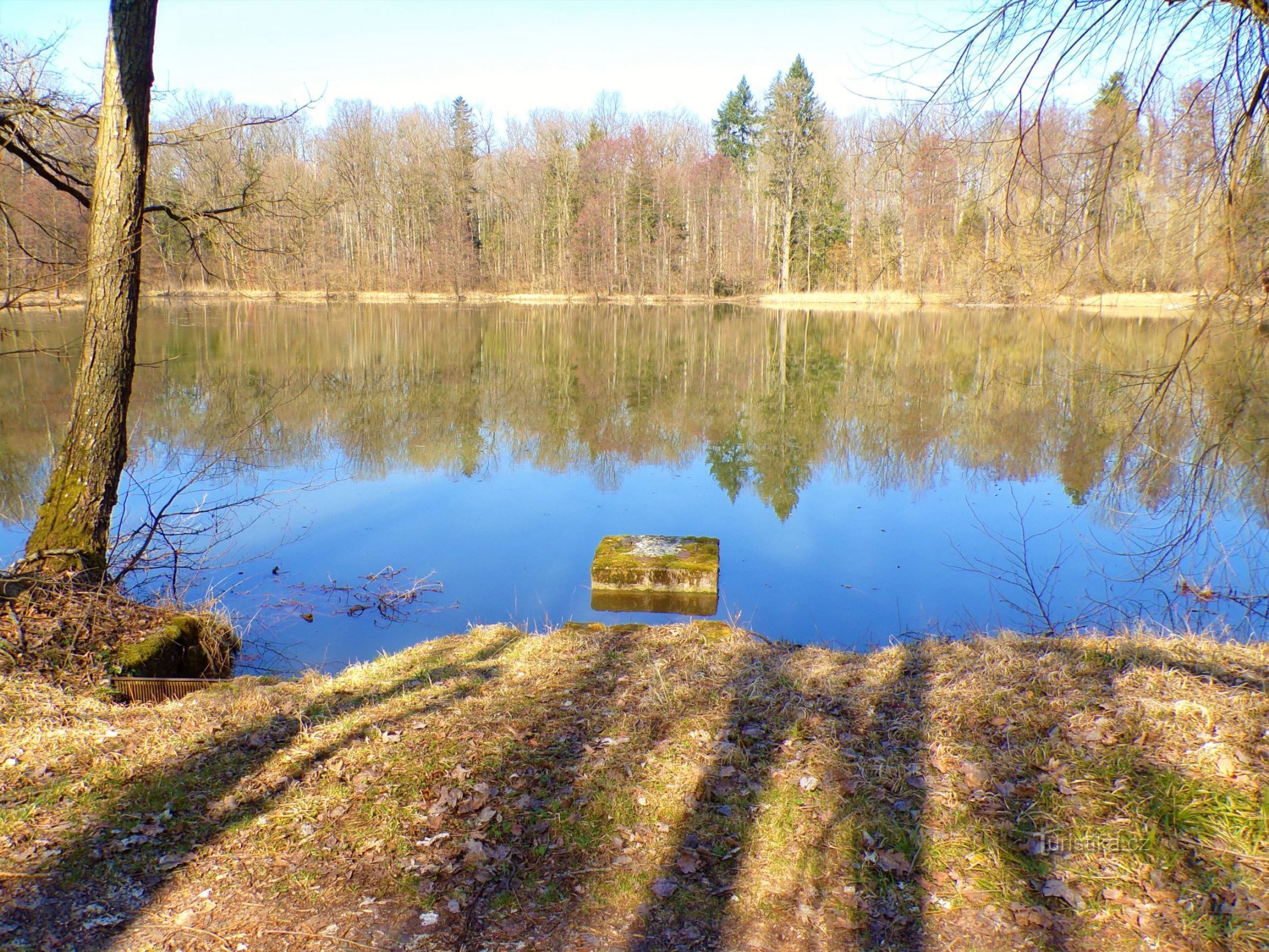 Povolír Pond (Miletín, 25.3.2022)