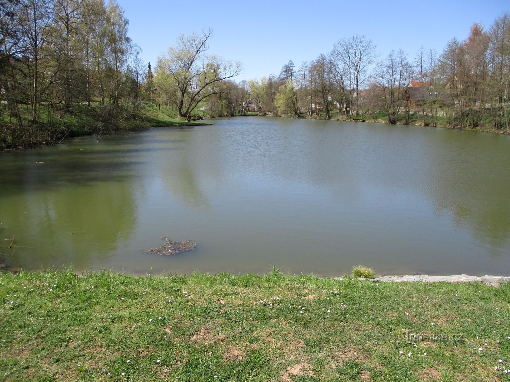 Teich gegenüber Gasthaus Nr. 36 (Vilantice, 20.4.2020)