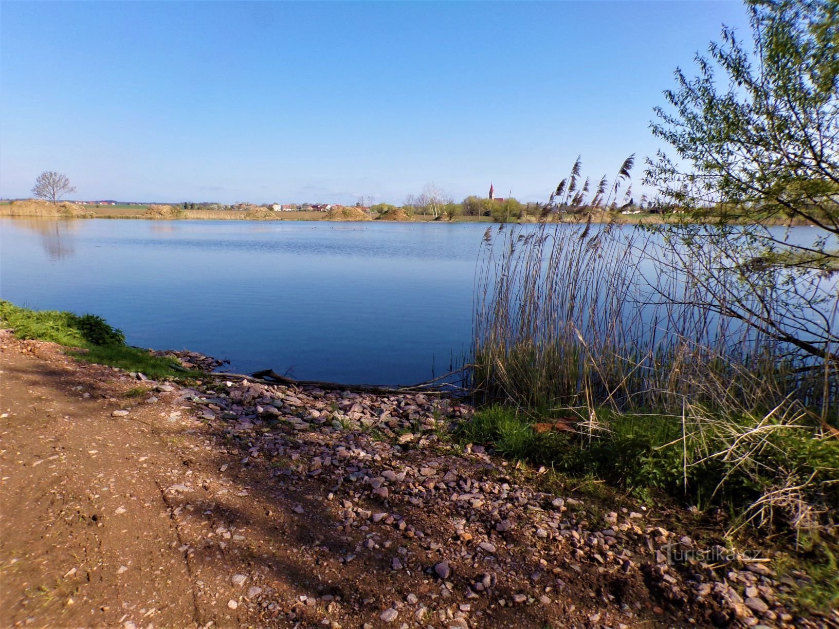 Rapeseed pond (Grandma, 8.5.2021/XNUMX/XNUMX)