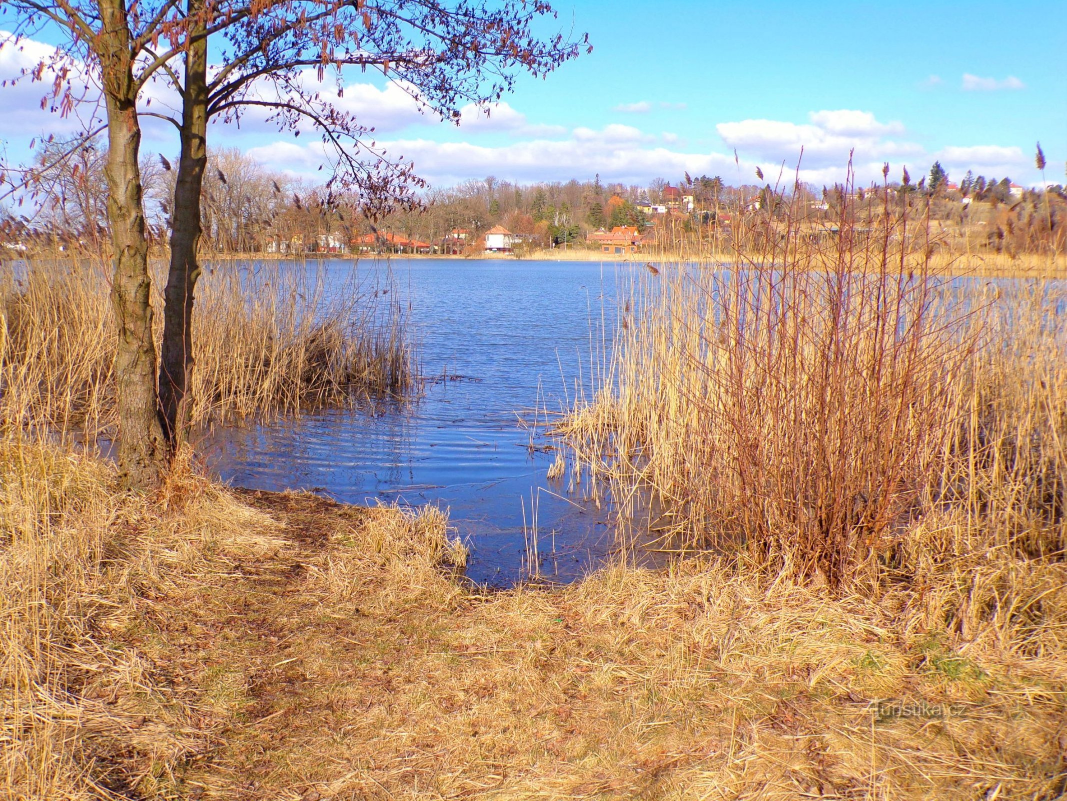 Roudnička dam (Hradec Králové, 28.2.2022/XNUMX/XNUMX)