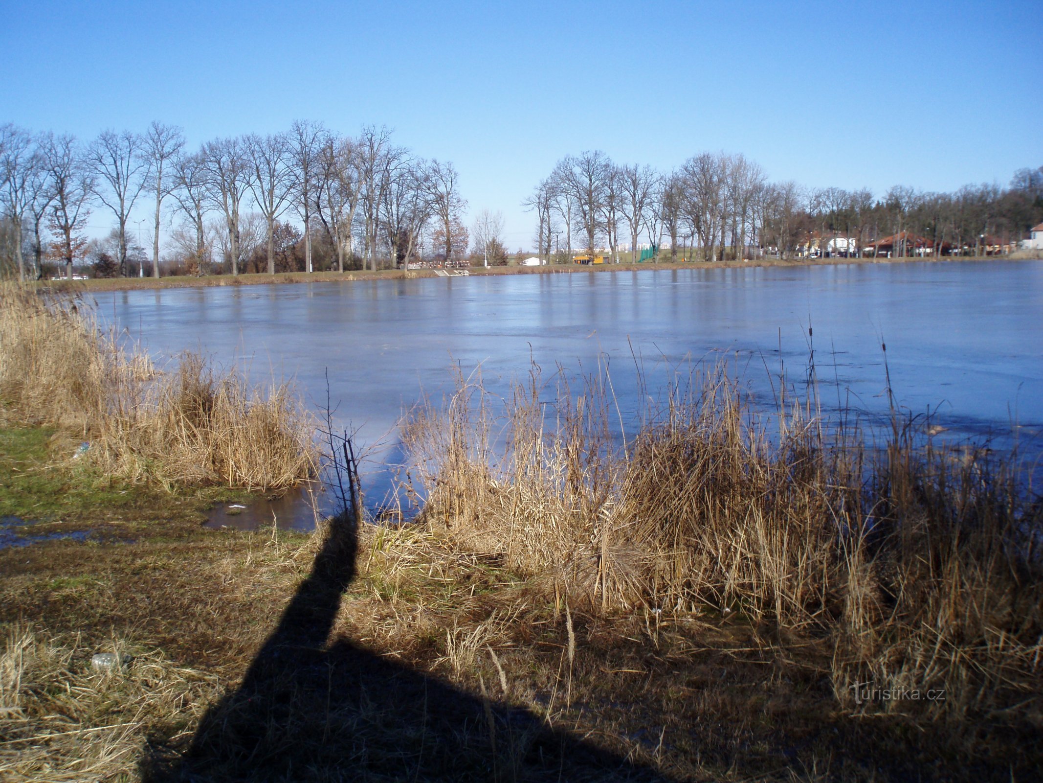 Teich Roudnička (Roudnička)