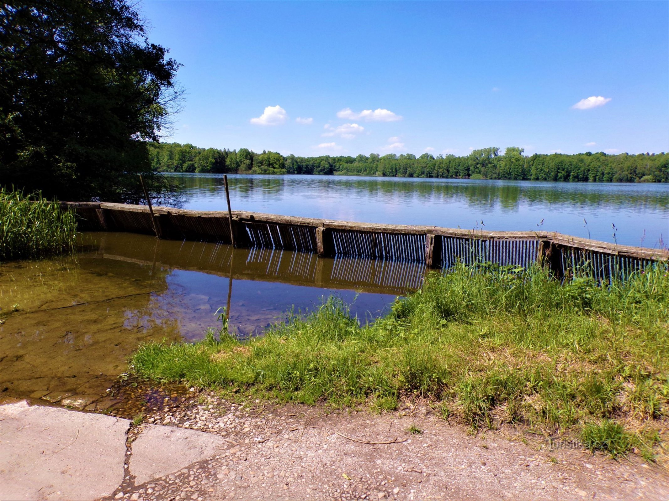 Teichübersicht (Bukovka, 3.6.2021)