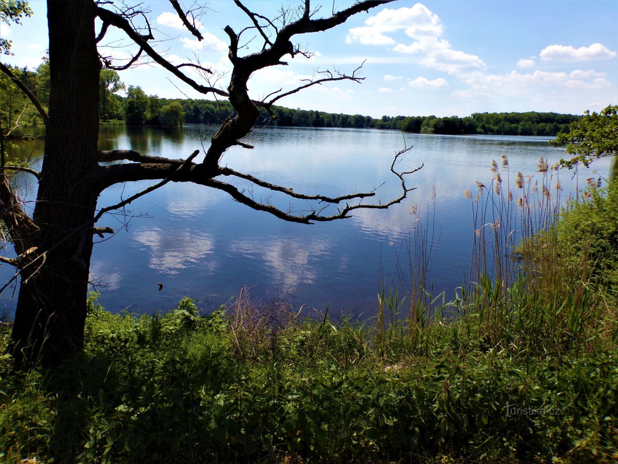 Pregled ribnjaka (Bukovka, 3.6.2021.)