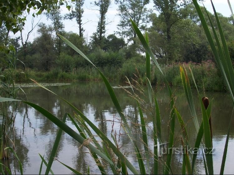 Lagoa: Lagoa a cerca de 200 m da placa de sinalização