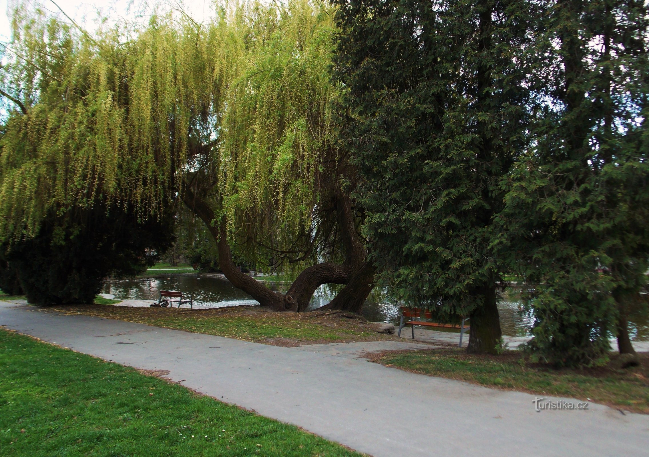 Uma lagoa com uma fonte em Smetanovy sady em Olomouc