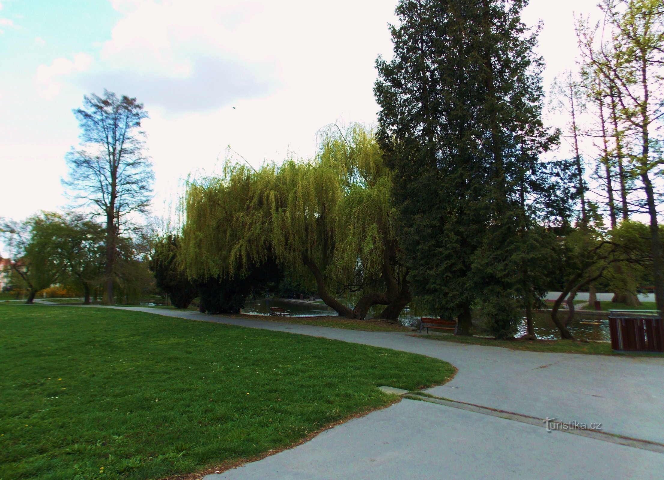 Ein Teich mit Springbrunnen in Smetanovy sady in Olomouc