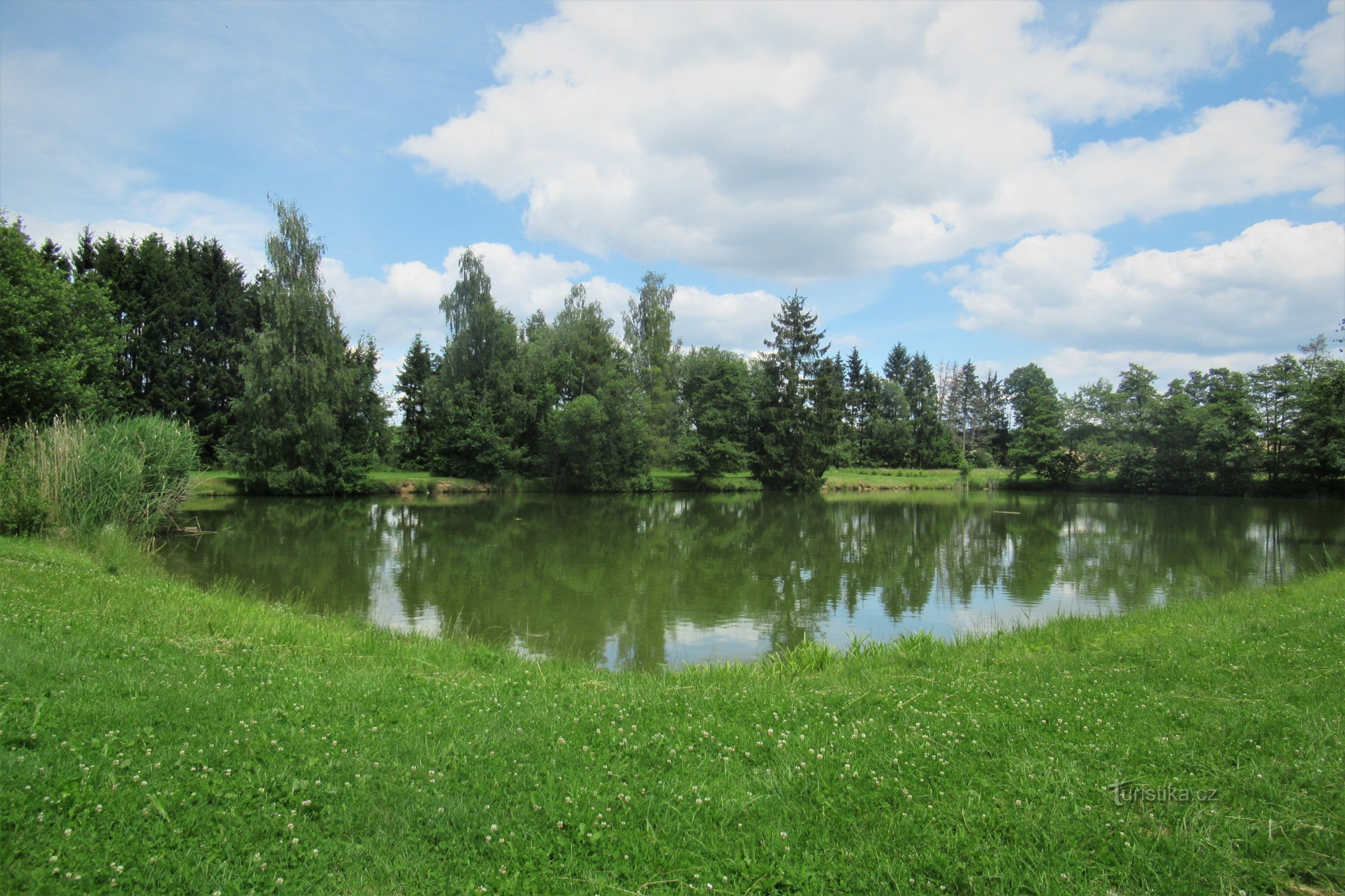Un laghetto con disposizione a parco