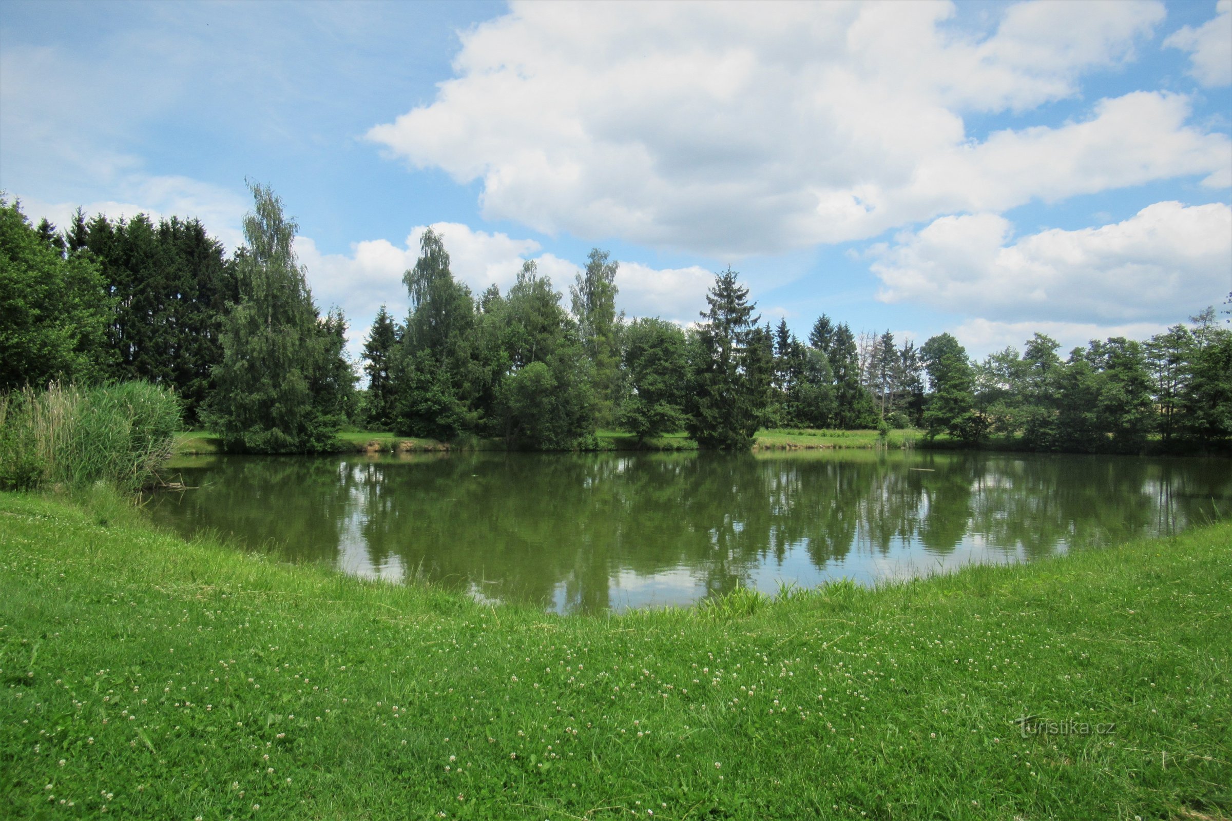 Dam med parkarrangement