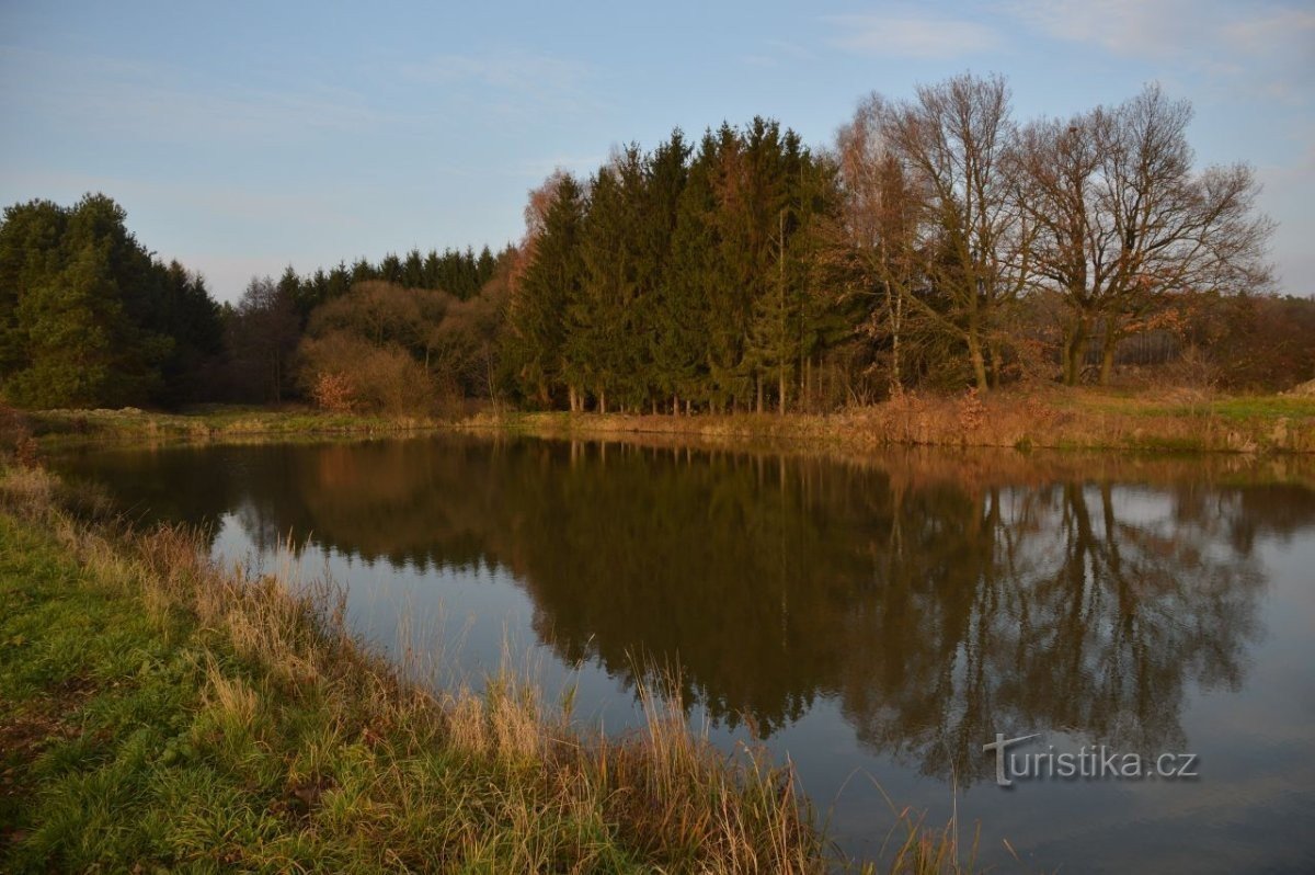 Šárovec vijver