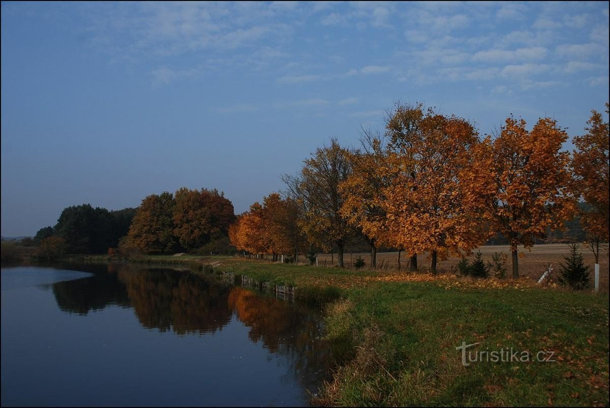 Šárovec pond