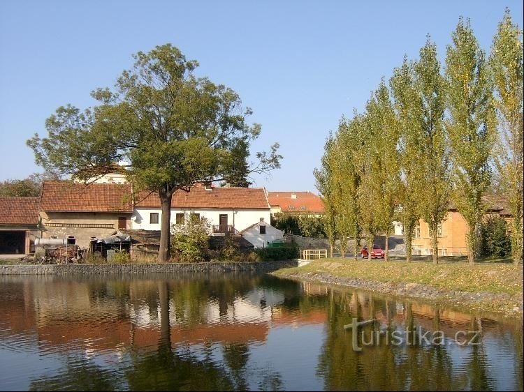 Teich: nördlich des Dorfes