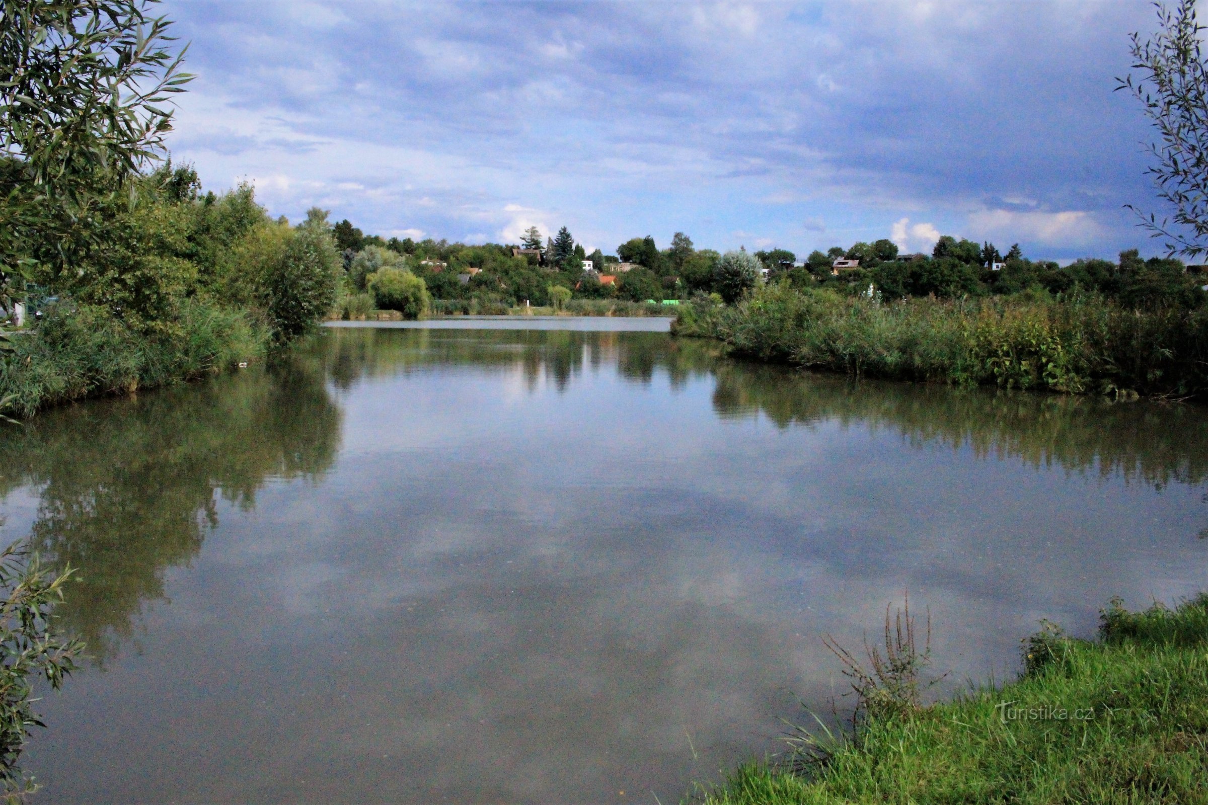 Étang de Šimlochy avec des roseaux