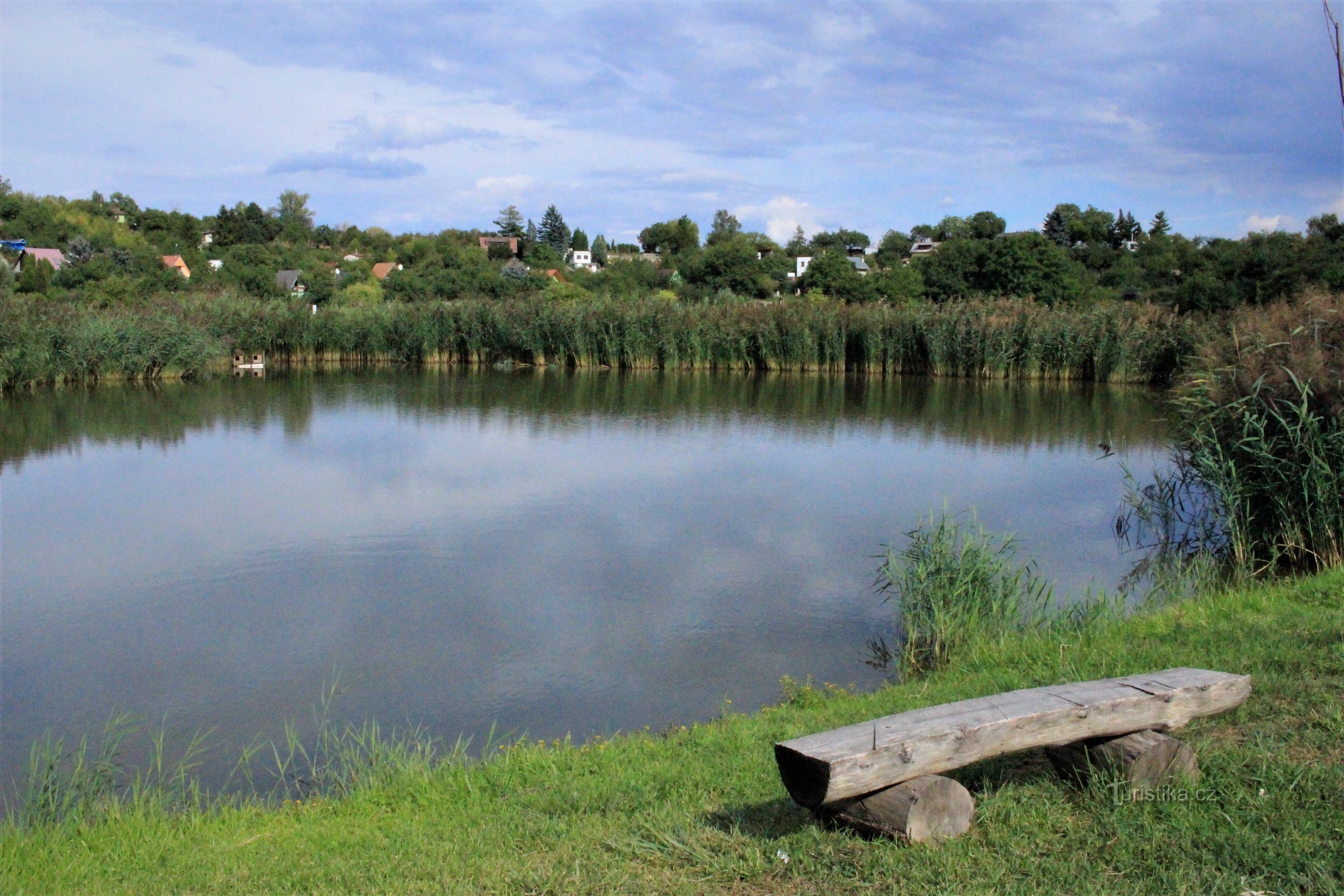 The Šimlochy pond is overgrown with reeds again