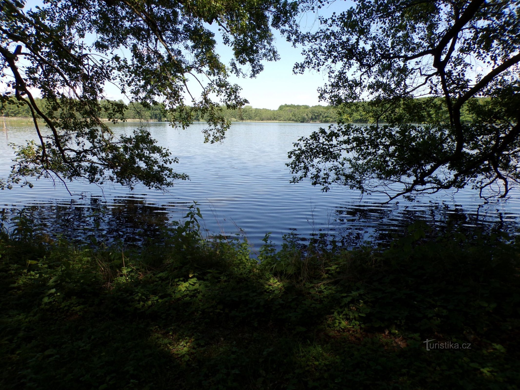 Rybník Skříň (Bohdaneč Spa, 3.6.2021 juni XNUMX)