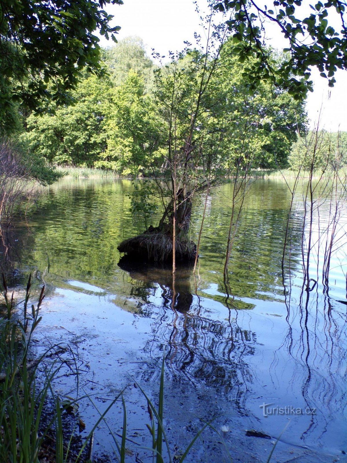 Skríň 池塘（Bohdaneč Spa，3.6.2021/XNUMX/XNUMX）