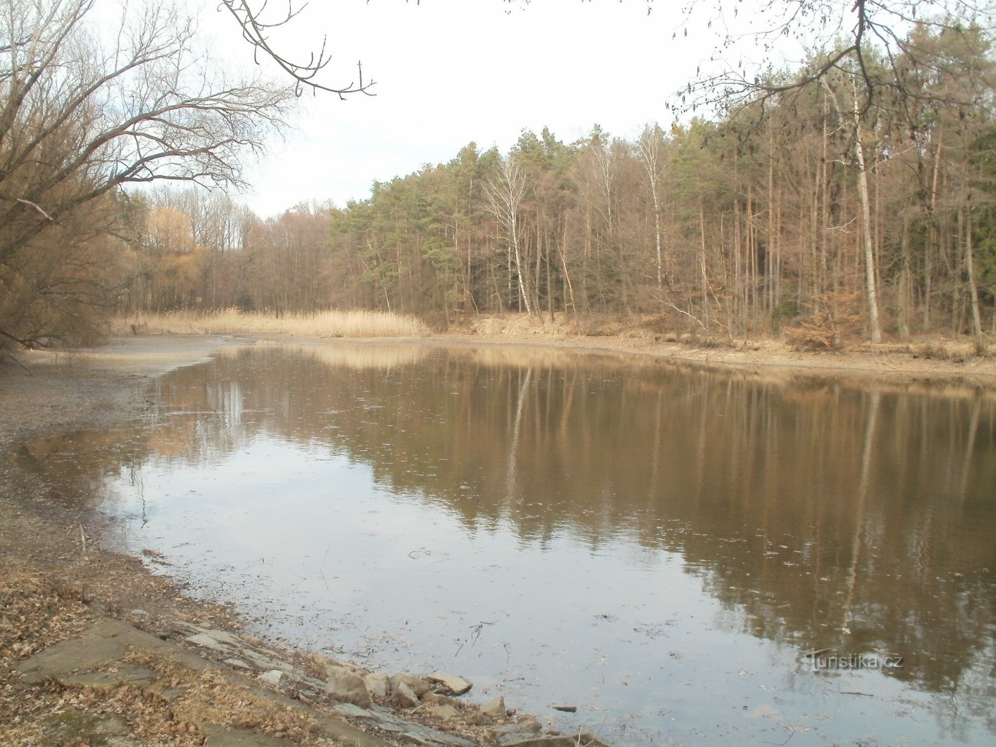 Staw Špičník