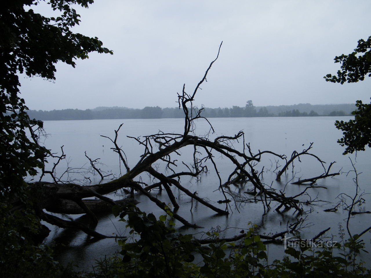 Starý Hospodář stagno sotto la pioggia battente