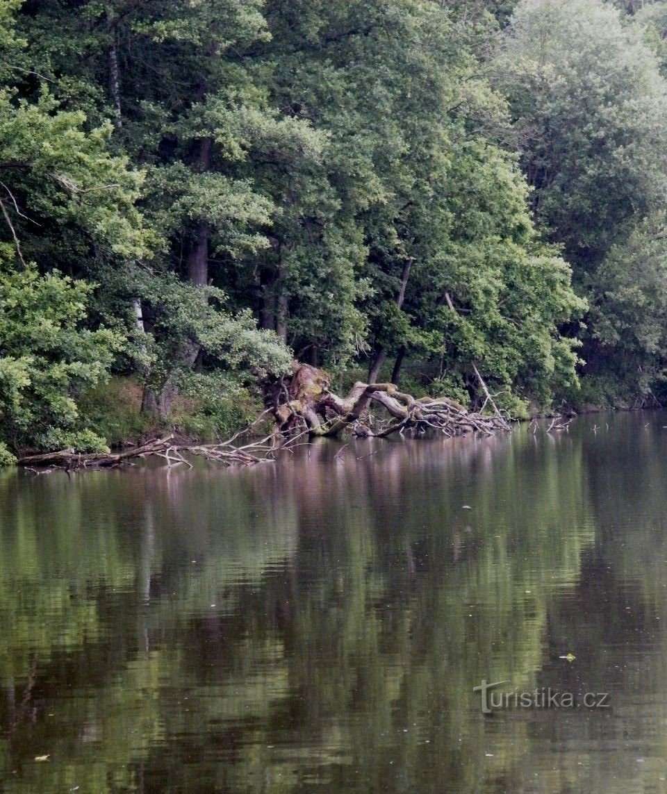 Starý Kanclíř dam