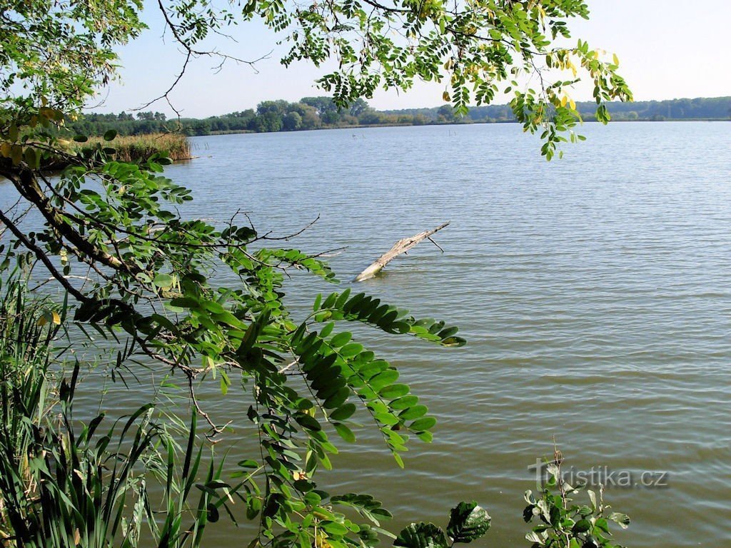 Rybník Stolařka