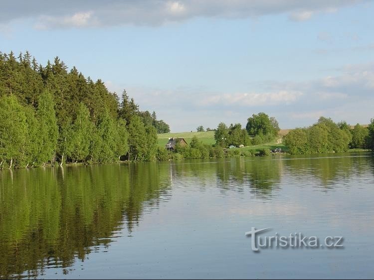 Pond Strž