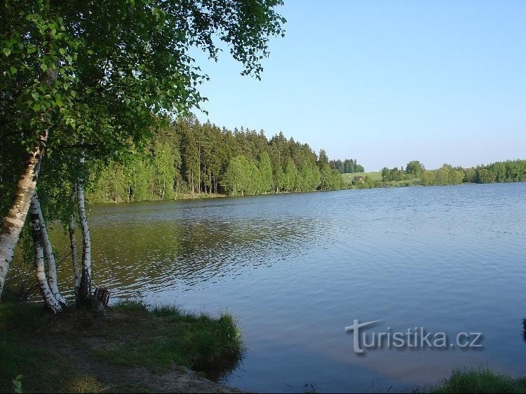 Pond Strž