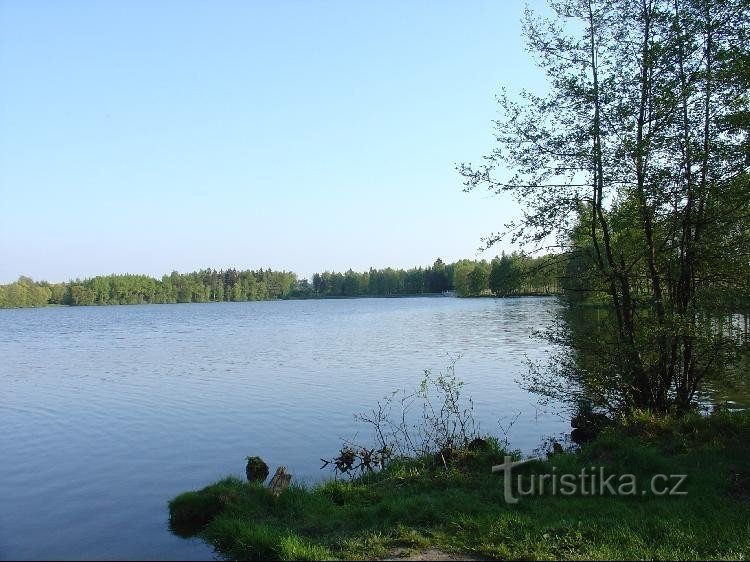 Pond Strž