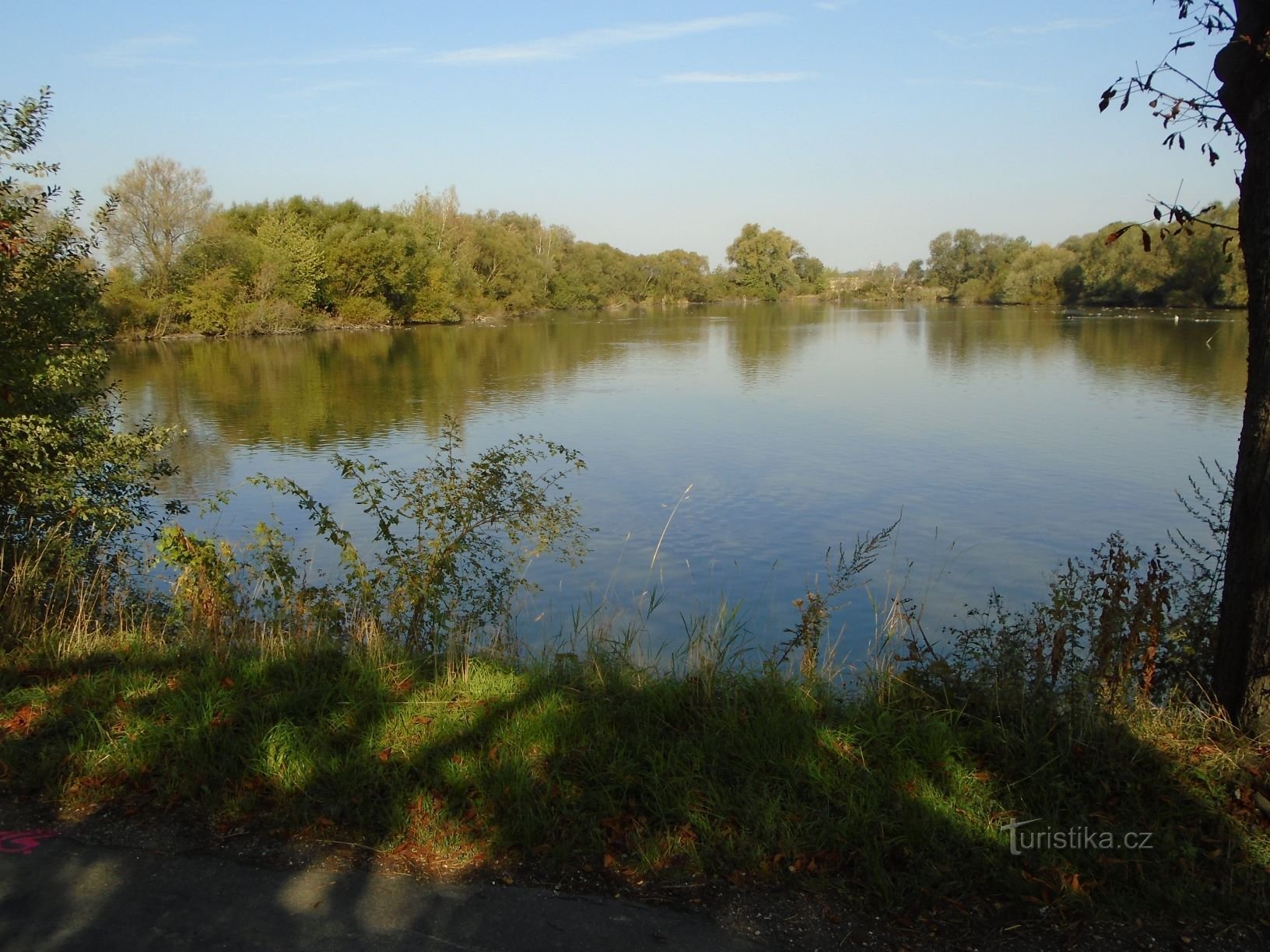 Svinče Pond (Kosičky, 17.9.2018/XNUMX/XNUMX)