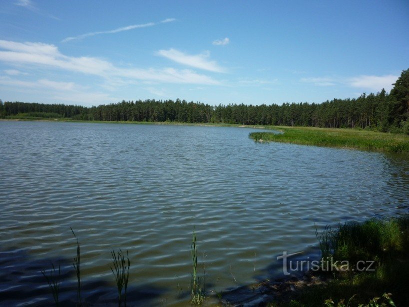 Svoboda dam