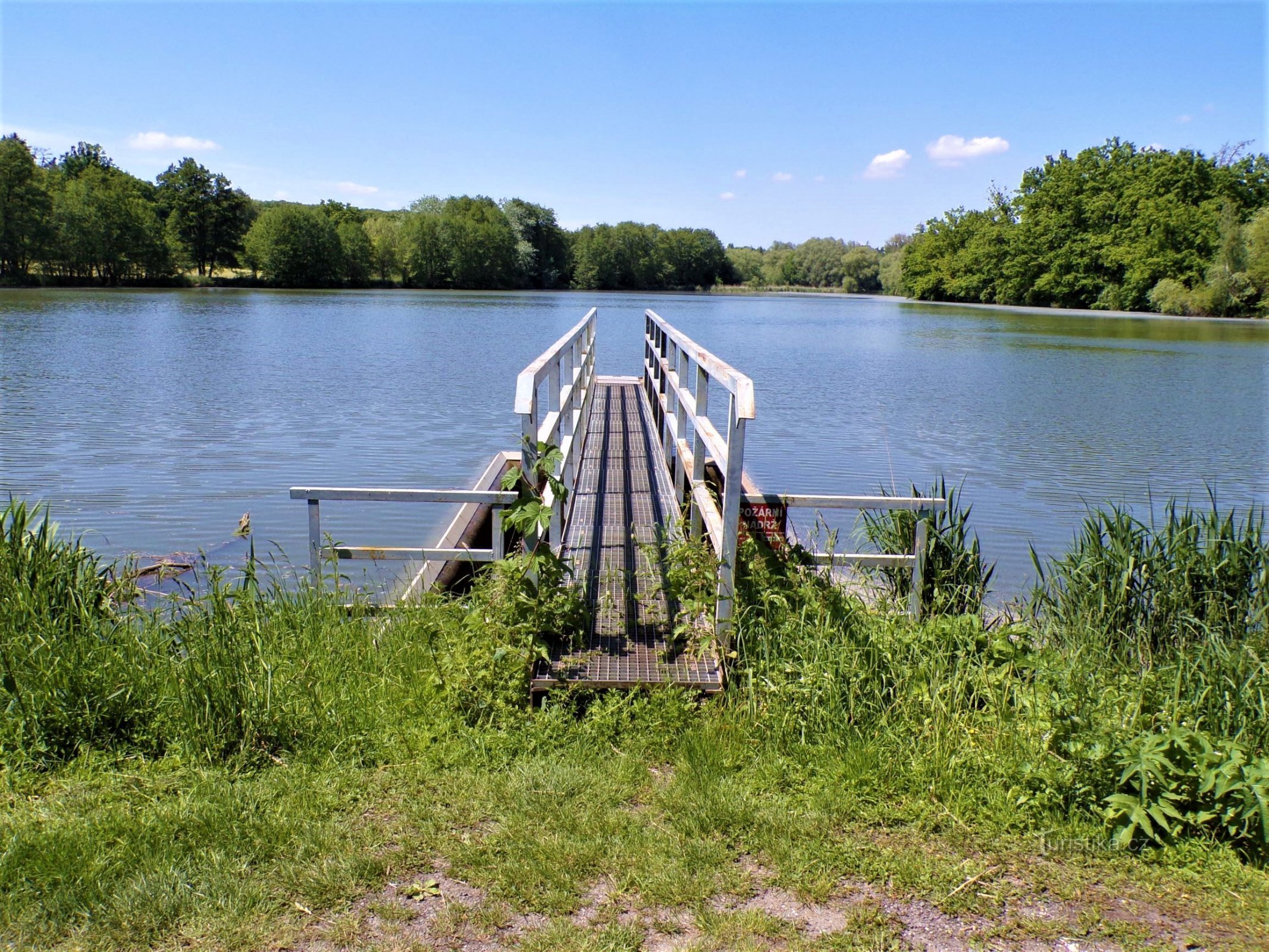 Trhoňka pond (Bukovka, 3.6.2021/XNUMX/XNUMX)