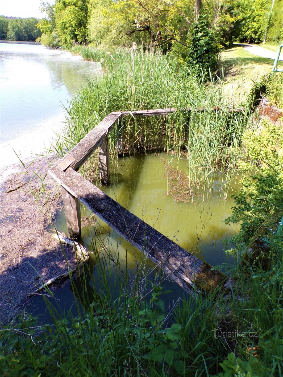 Trhoňka dam (Bukovka, 3.6.2021/XNUMX/XNUMX)