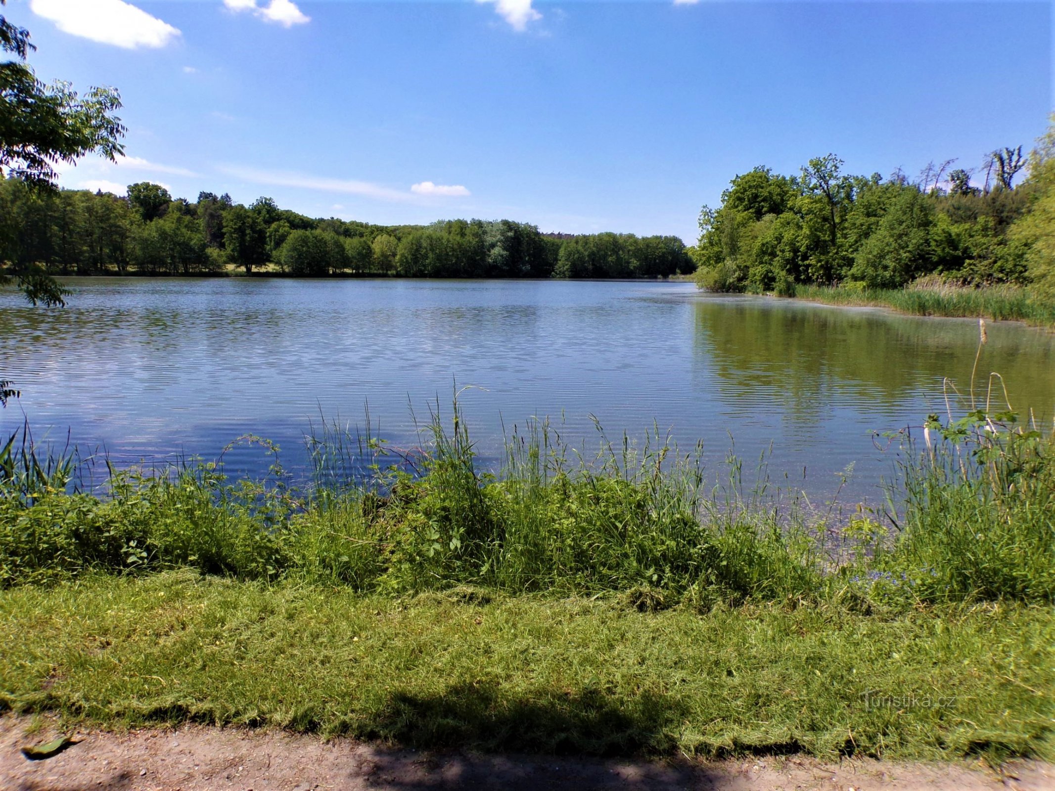 Trhoňka dam (Bukovka, 3.6.2021/XNUMX/XNUMX)