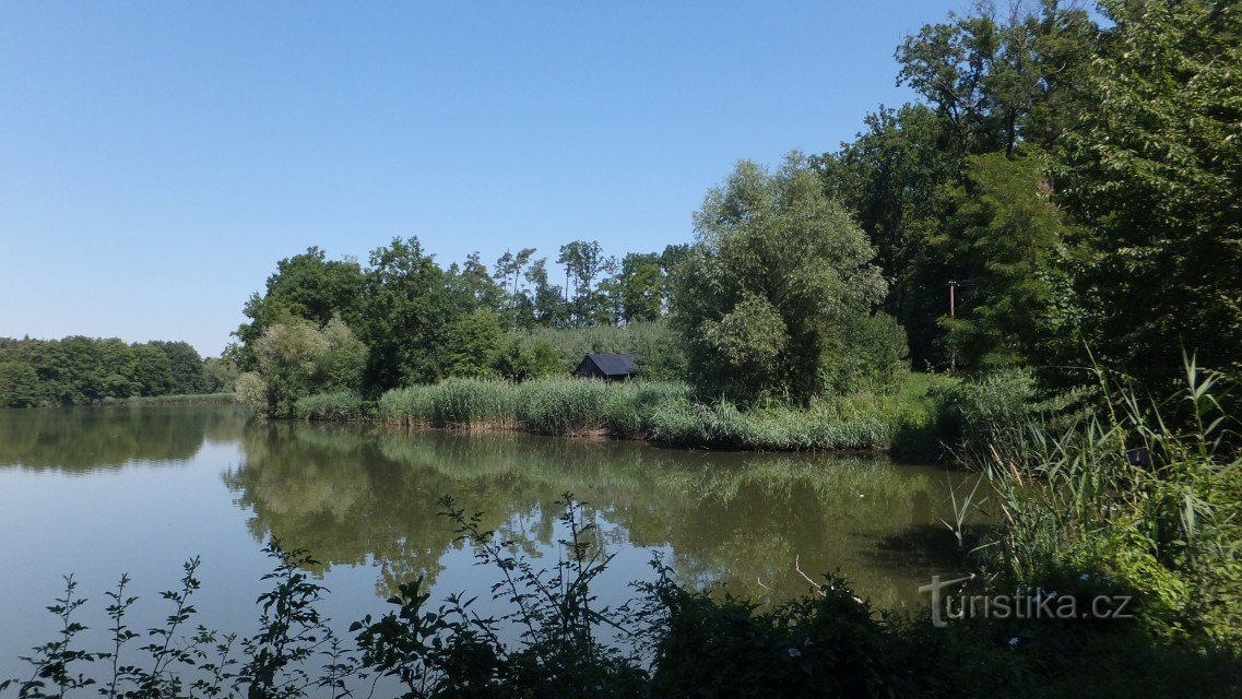 Pond TRHOŇKA-BUKOVKA