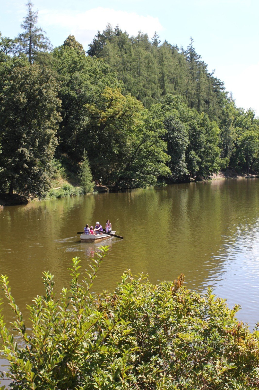 Stagno vicino a Červená Lhota