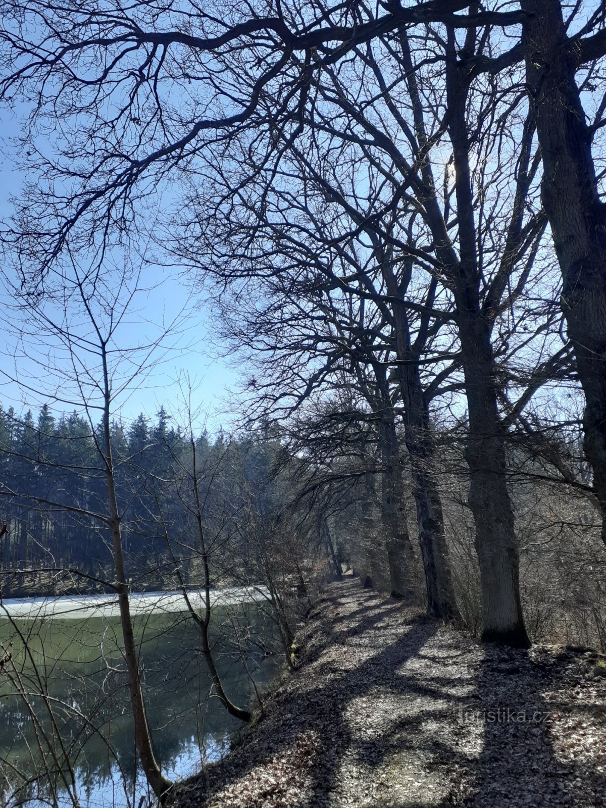 Teich in der Nähe des Wildgeheges in Kamensk