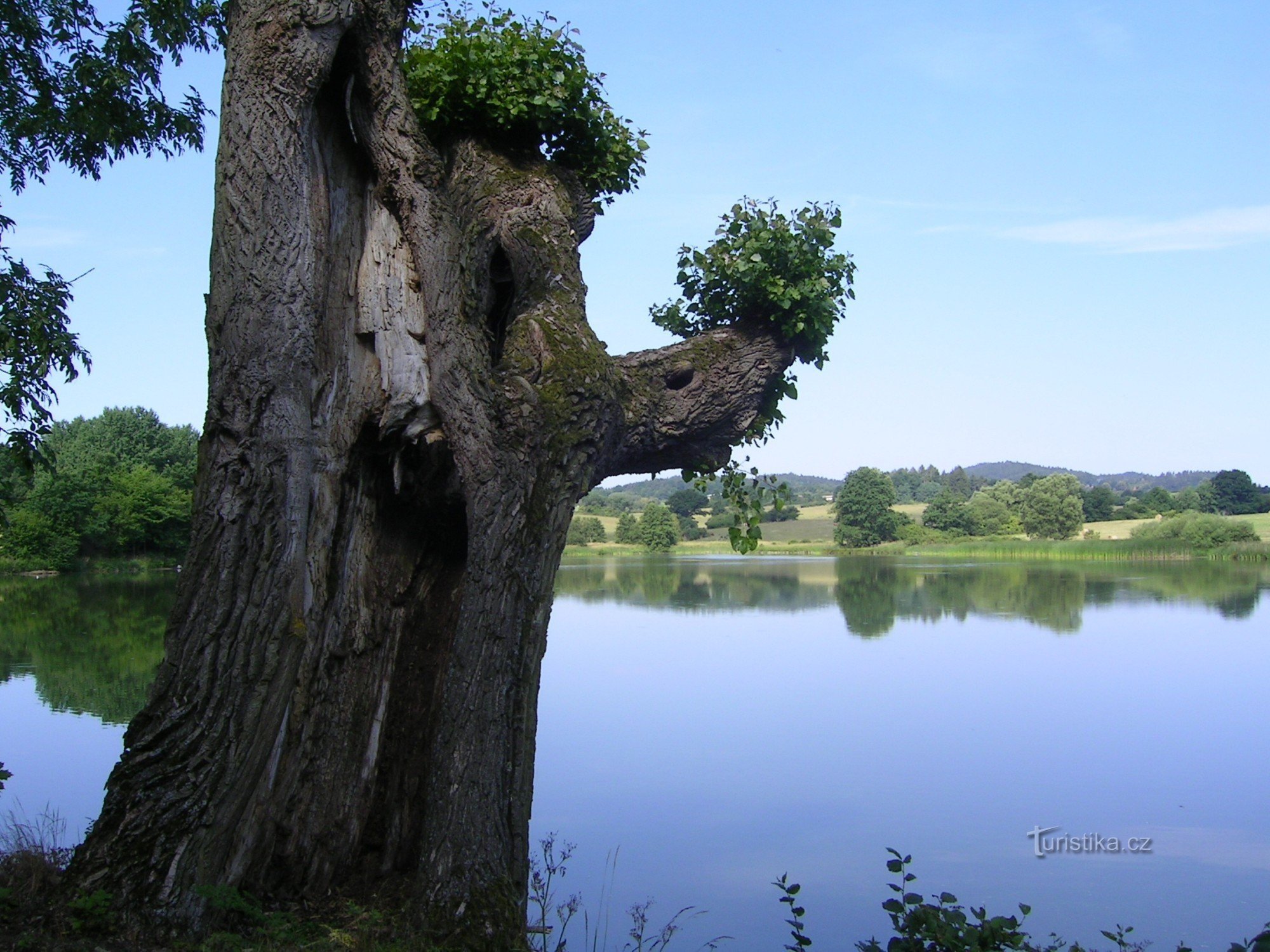 Stagno vicino a Kvašňovice