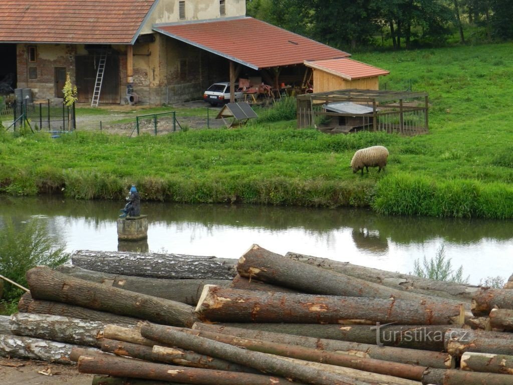 A tó a fűrészmalomban