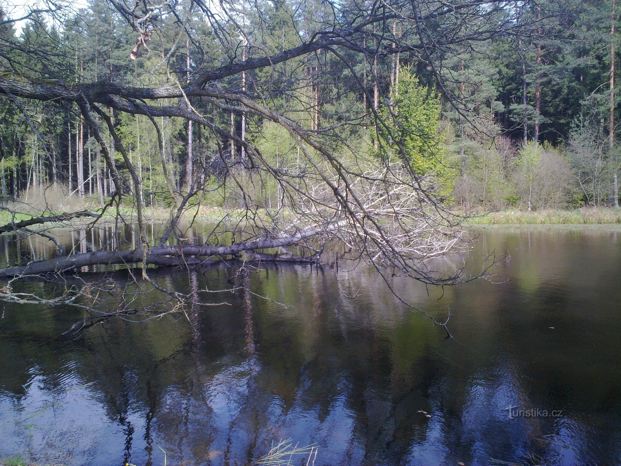 Lampi lähellä Studnaa lähellä Lučnáa