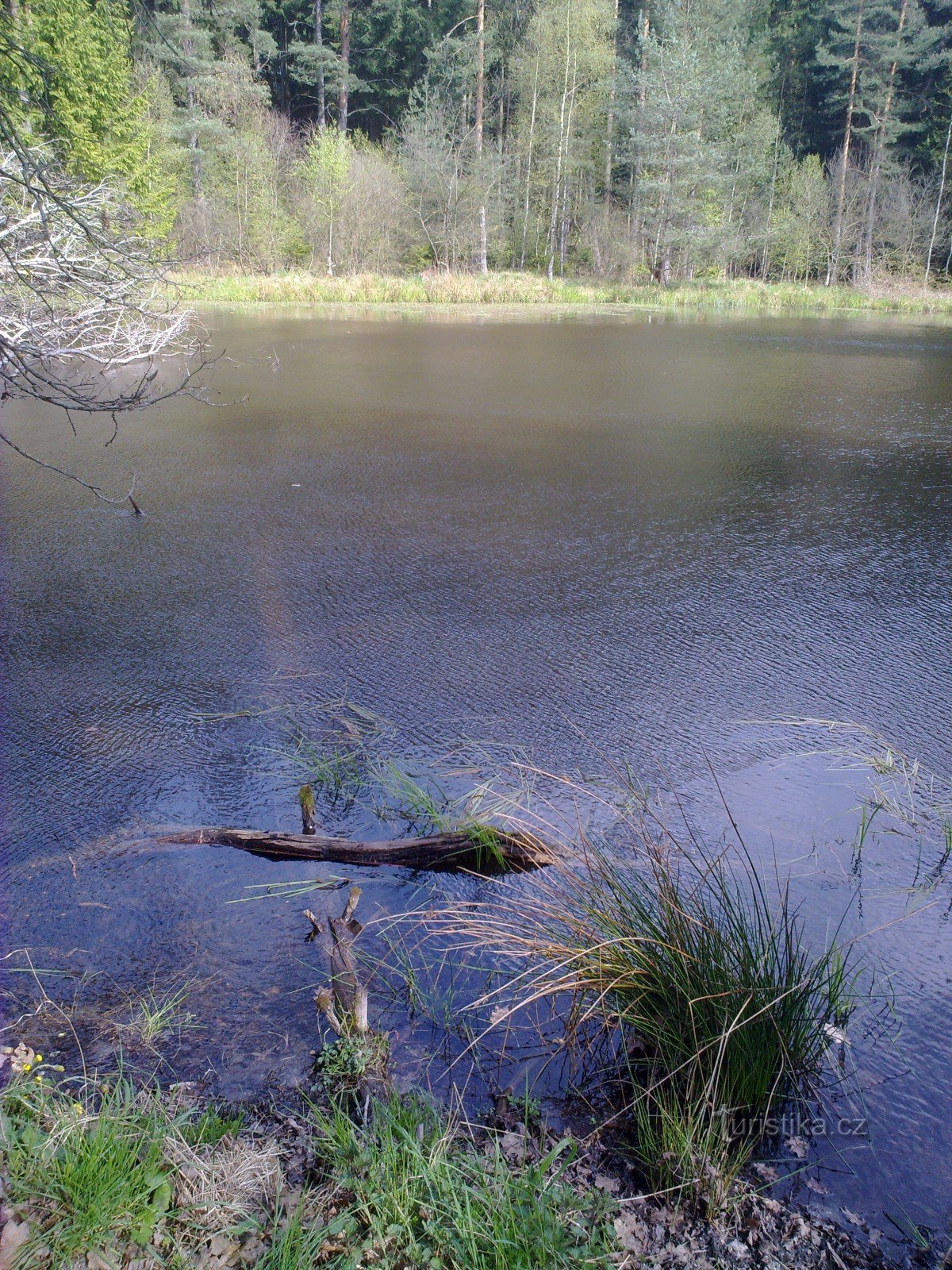 Teich bei Studna bei Lučná