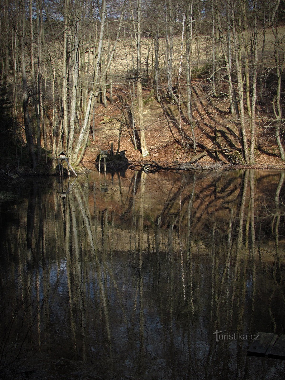 Valašská Senica近くの池