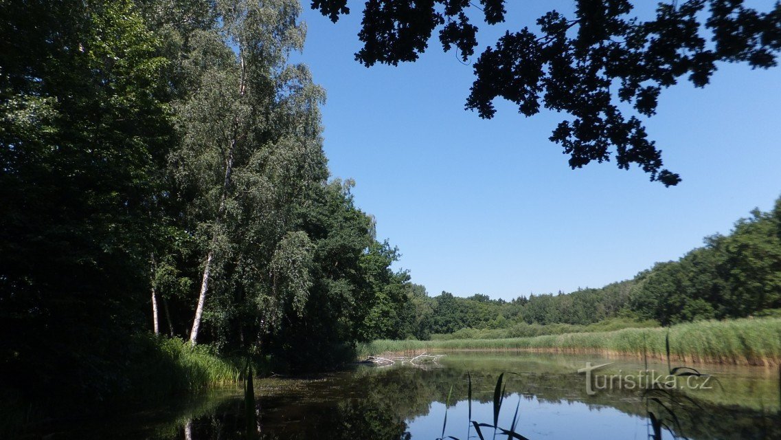 the pond He maintained