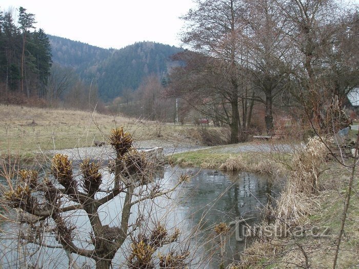 estanque en Březinky