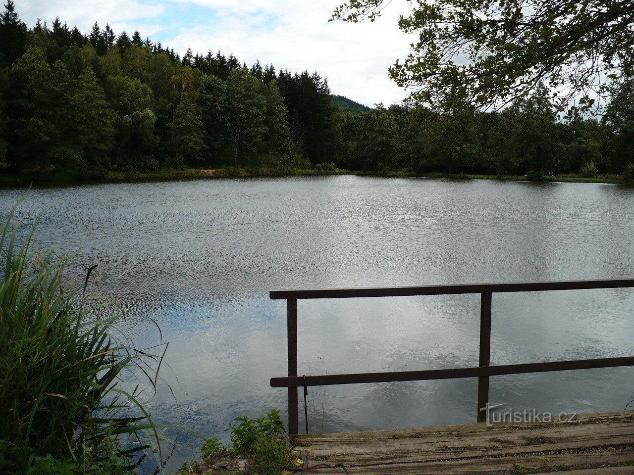 Pond in Dobřív (also for swimming)