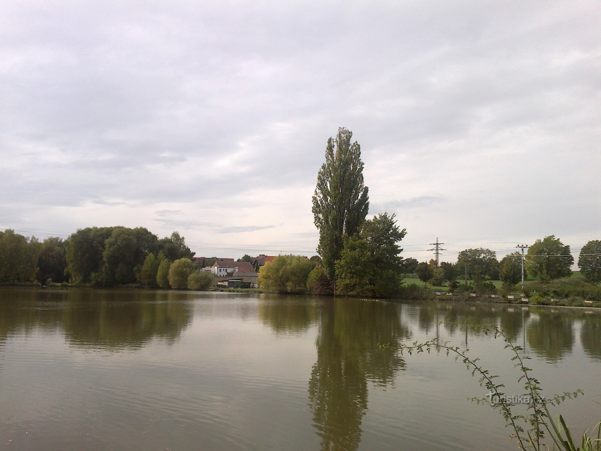 Teich in Kněževs.