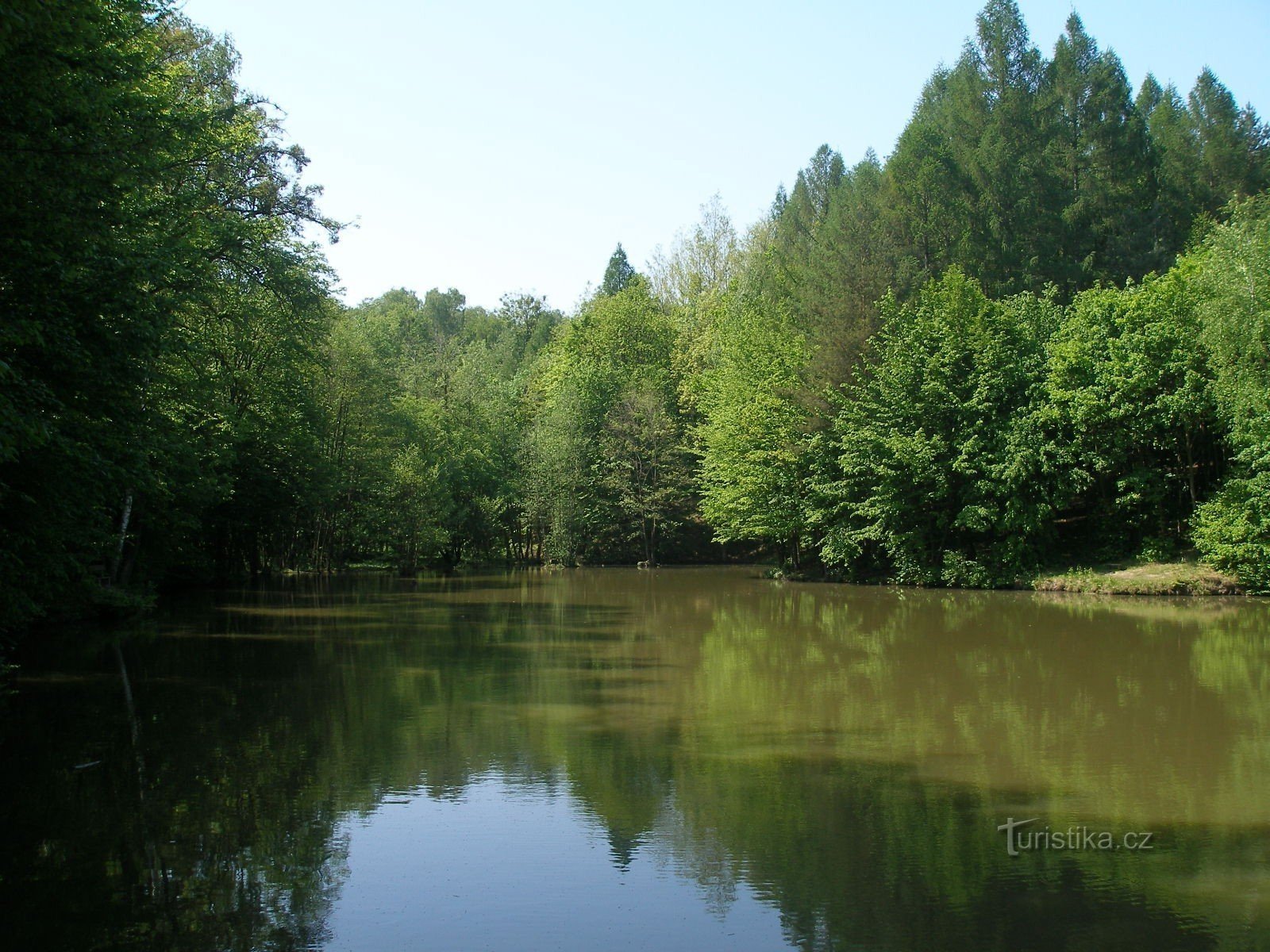 Un estanque en el Bosque Kostelec